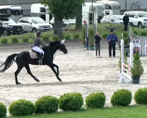 Reitturnier Basel Schänzli 2021