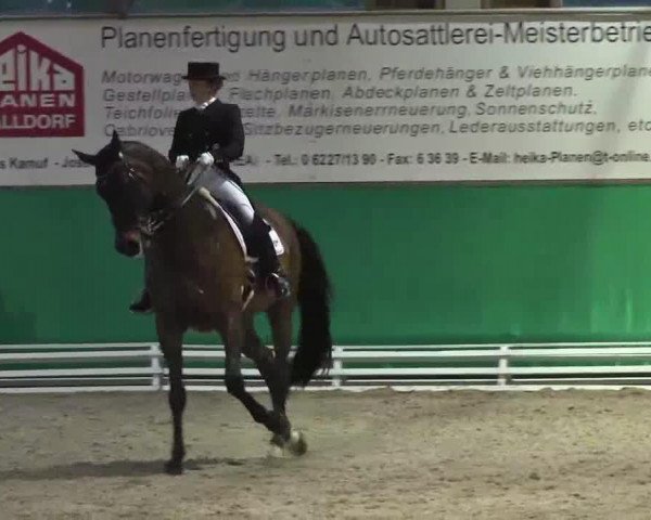 dressage horse Ronaldo 145 (KWPN (Royal Dutch Sporthorse), 1998, from Lancet 2)
