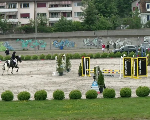 Reitturnier Basel Schänzli 2021