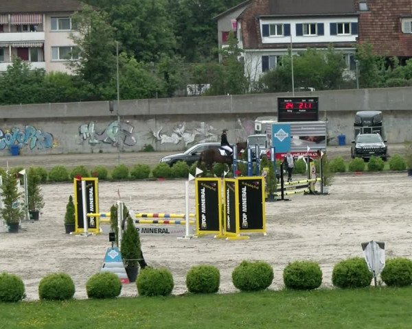 Reitturnier Basel Schänzli 2021