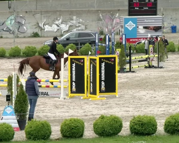 Reitturnier Basel Schänzli 2021