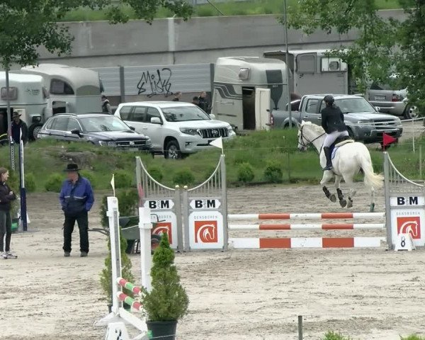 Reitturnier Basel Schänzli 2021