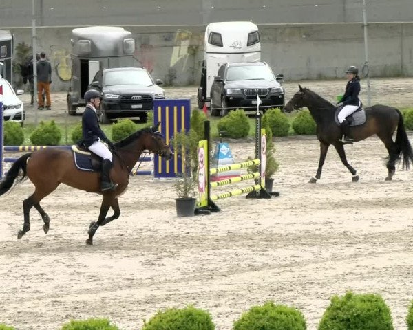 Reitturnier Basel Schänzli 2021