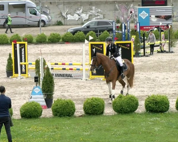Reitturnier Basel Schänzli 2021