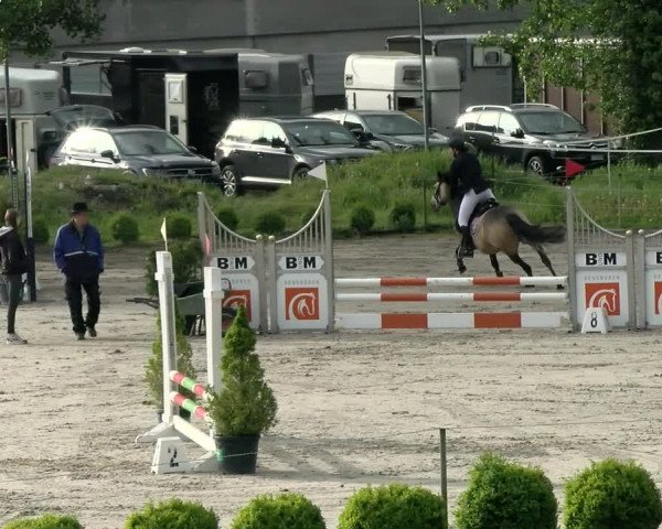 Reitturnier Basel Schänzli 2021
