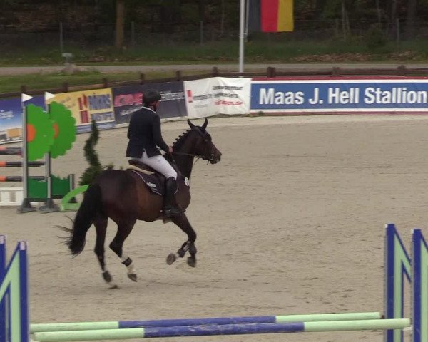 Reitturnier Westergellersen 2021