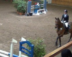jumper Phiona 3 (Holsteiner, 2000, from Coriano)