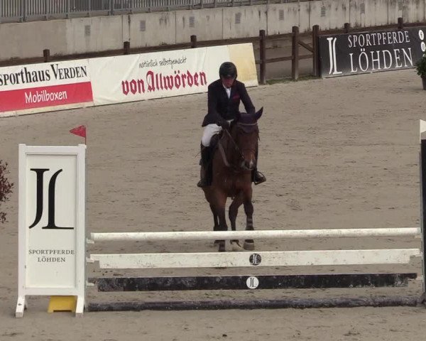 Reitturnier Westergellersen 2021