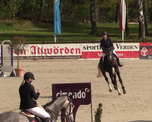 Reitturnier Westergellersen 2021