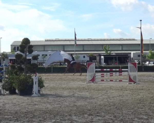 Reitturnier Bornheim-Widdig 2021