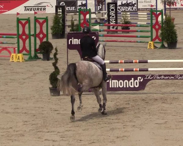 Reitturnier Westergellersen 2021