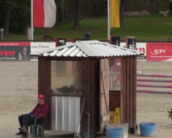 Reitturnier Westergellersen 2021