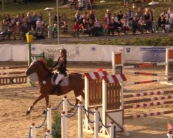 jumper Löwenjunge (Oldenburg, 2004, from Ludwig von Bayern 168 FIN)