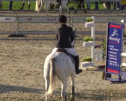 jumper Amigo 1224 (Hungarian Warmblood, 1999, from Acorn)