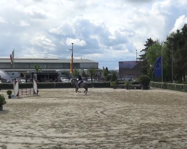 Reitturnier Bornheim-Widdig 2021