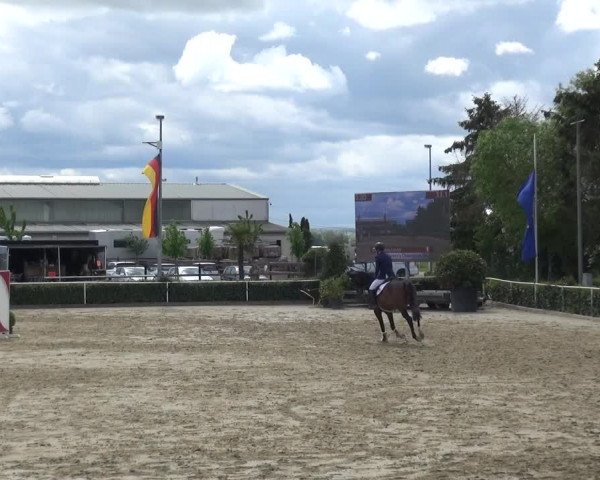 Reitturnier Bornheim-Widdig 2021
