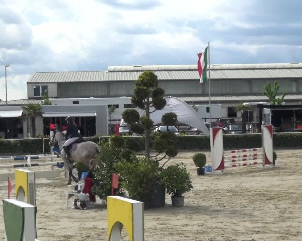 Reitturnier Bornheim-Widdig 2021