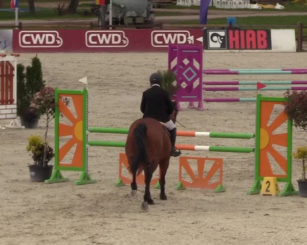 Reitturnier Westergellersen 2021