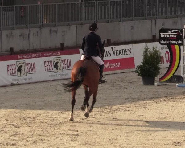 Reitturnier Westergellersen 2021
