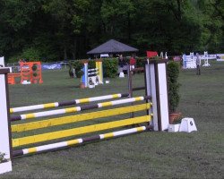 jumper Demonball FF (Westphalian, 2004, from Damon Hill)