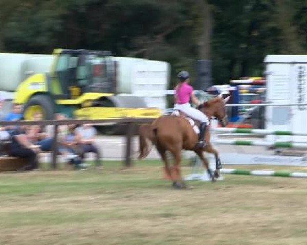 jumper Zacapo (Oldenburg, 1997, from Zeus)