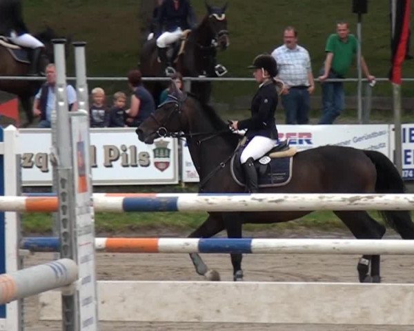Springpferd Ramira 306 (Holsteiner, 2001, von Ramirado)