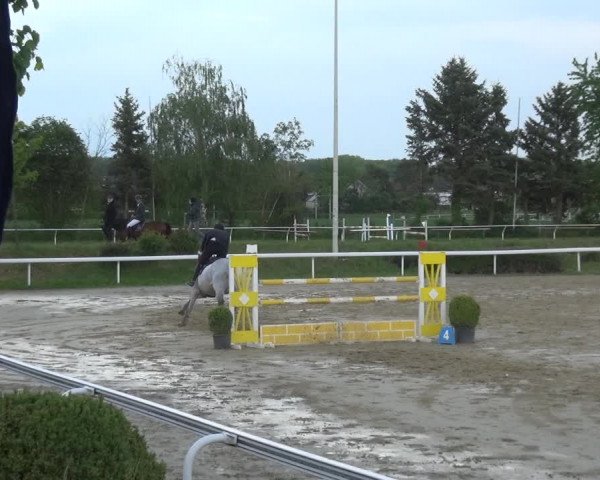 Reitturnier Bornheim-Widdig 2021