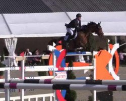 jumper Rive Gauche 5 (Oldenburg show jumper, 2005, from Gypsi de la Place AA)
