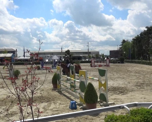 Reitturnier Bornheim-Widdig 2021