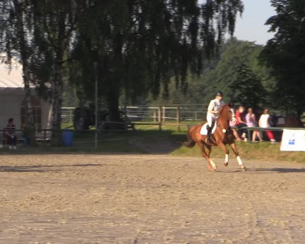 jumper Forrest Gump 32 (Westphalian, 1993, from Faschingsprinz)