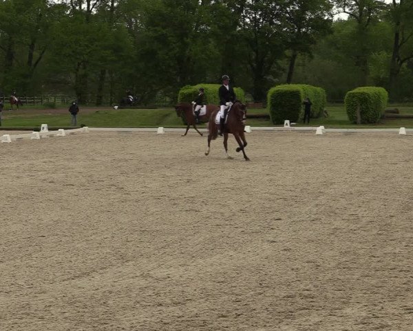 Reitturnier Münster-Handorf 2021