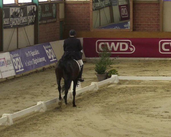 Steinhagen Classics 2021