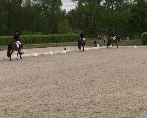 Reitturnier Münster-Handorf 2021