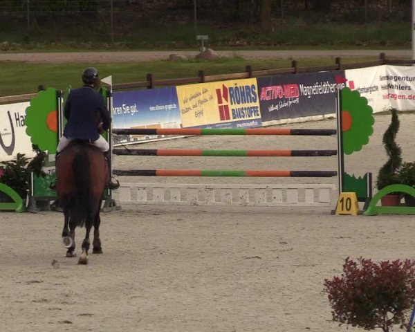 Reitturnier Westergellersen 2021