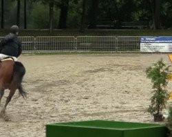 jumper Aragon 236 (Rhinelander, 2002, from Argus)