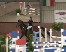 jumper Elliot 117 (KWPN (Royal Dutch Sporthorse), 1996, from Epilot)