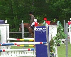 broodmare Oklahoma 20 (KWPN (Royal Dutch Sporthorse), 2003, from Osmium)