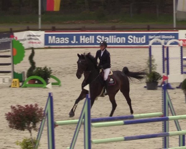 Reitturnier Westergellersen 2021