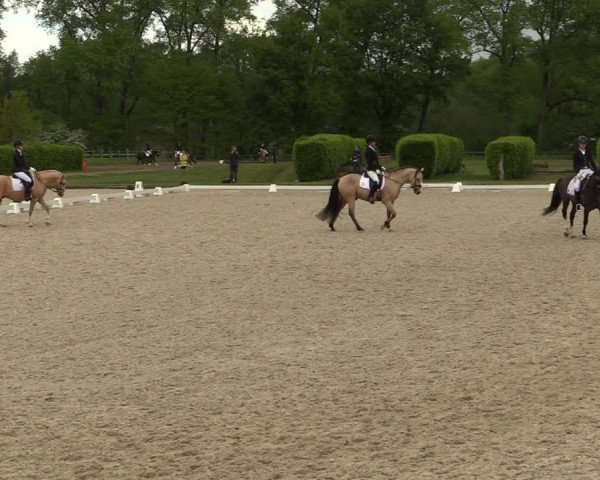 Reitturnier Münster-Handorf 2021
