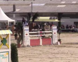 jumper Carnaval La Fie (anglo european sporthorse, 2008, from Carnaval Pleasure)