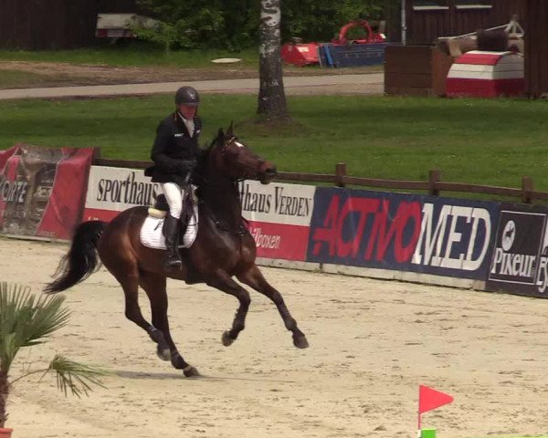 Reitturnier Westergellersen 2021