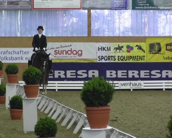 dressage horse Fairness 134 (Westphalian, 2004, from Floresco NRW)
