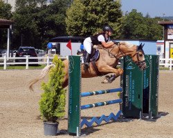 Springpferd Jaliska III (KWPN (Niederländisches Warmblut), 2014, von Cream On Top)