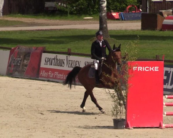 Reitturnier Westergellersen 2021