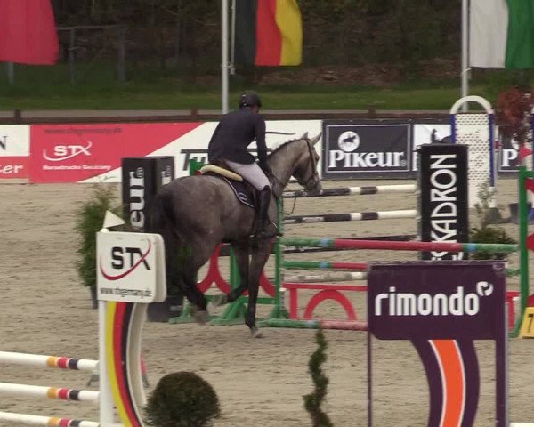 Reitturnier Westergellersen 2021