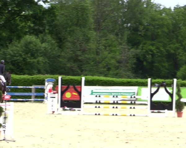 Reitturnier Münster-Handorf 2021