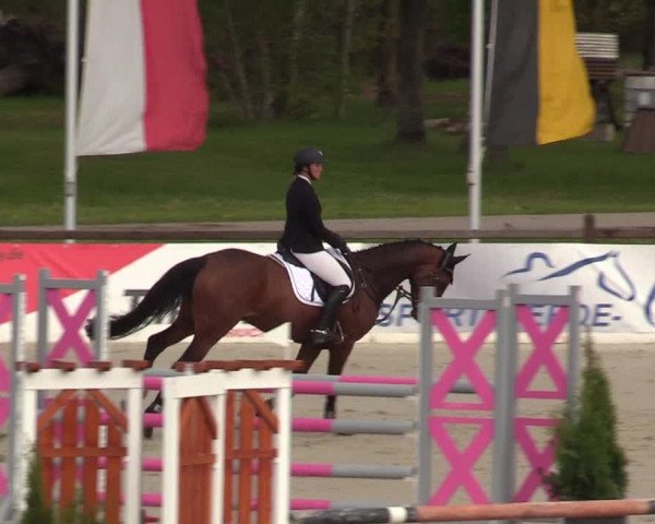 Reitturnier Westergellersen 2021