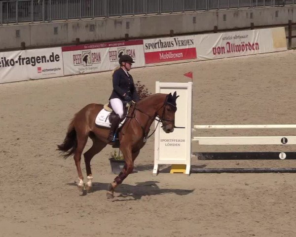 Reitturnier Westergellersen 2021