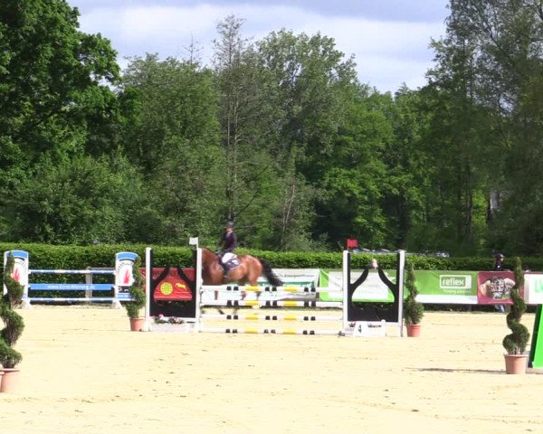 Reitturnier Münster-Handorf 2021