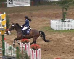 jumper Valentia 6 (Hanoverian, 2004, from Vulkano FRH)